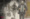 Al Sharaa - syria - omar al qasim - middle east news